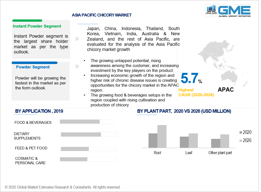 asia pacific chicory market